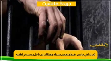 تحرك أمني حاسم.. ضبط متهمين بسرقة متعلقات من داخل مدرسة في أطفيح 1